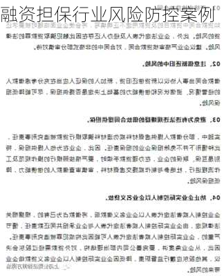 融资担保行业风险防控案例