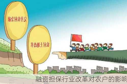 融资担保行业改革对农户的影响
