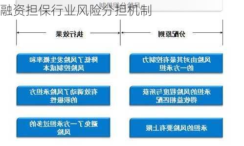 融资担保行业风险分担机制