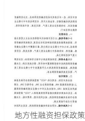 地方性融资担保政策