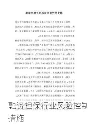 融资担保行业风险控制措施