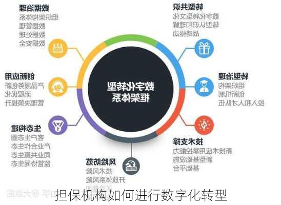 担保机构如何进行数字化转型
