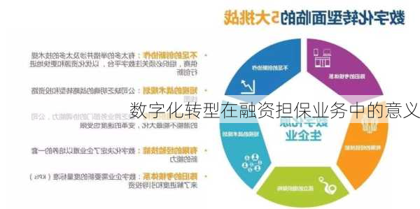 数字化转型在融资担保业务中的意义