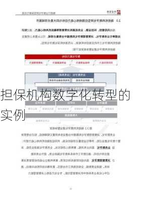 担保机构数字化转型的实例