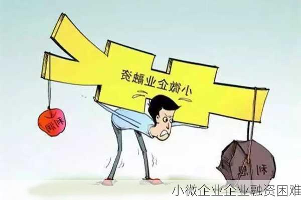 小微企业企业融资困难