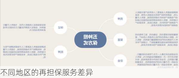 不同地区的再担保服务差异