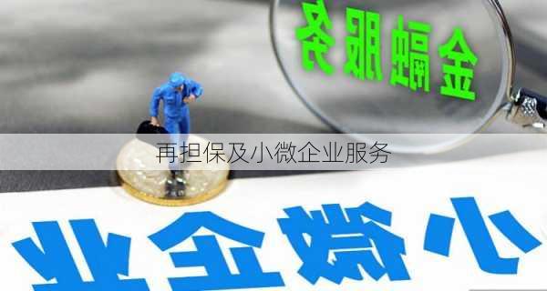再担保及小微企业服务