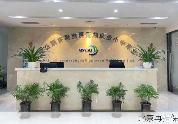 北京再担保