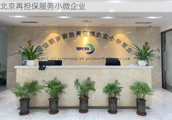 北京再担保服务小微企业