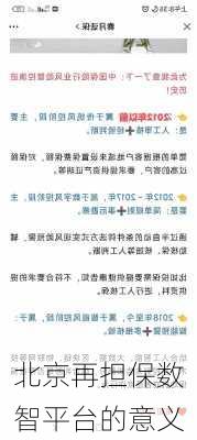 北京再担保数智平台的意义