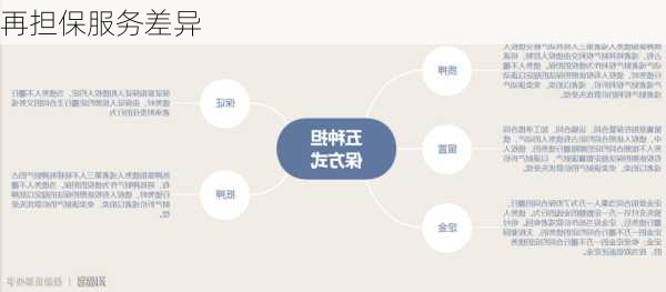 再担保服务差异