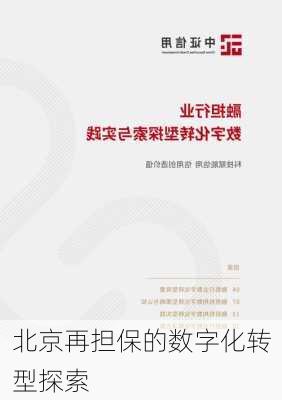 北京再担保的数字化转型探索
