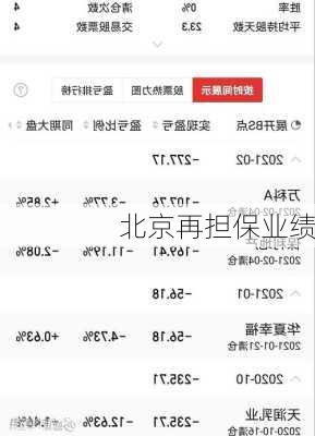 北京再担保业绩
