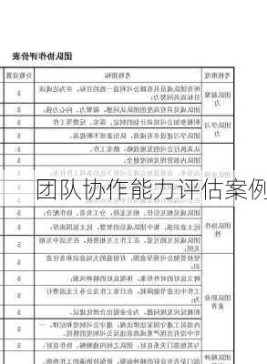 团队协作能力评估案例