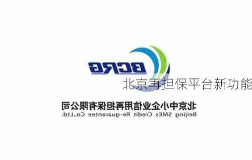 北京再担保平台新功能