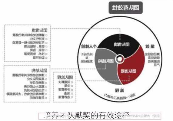 培养团队默契的有效途径