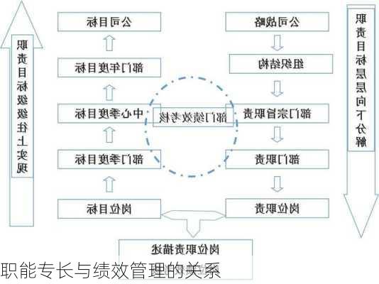 职能专长与绩效管理的关系