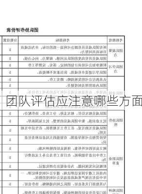 团队评估应注意哪些方面