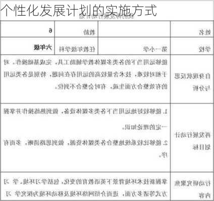 个性化发展计划的实施方式