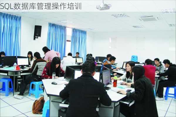 SQL数据库管理操作培训