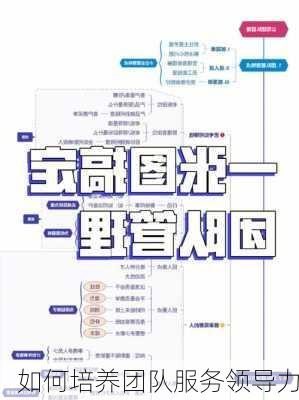 如何培养团队服务领导力