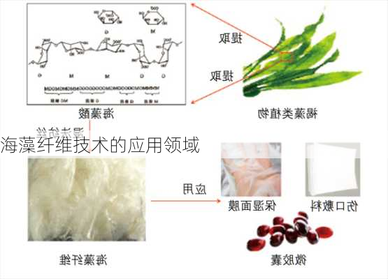 海藻纤维技术的应用领域