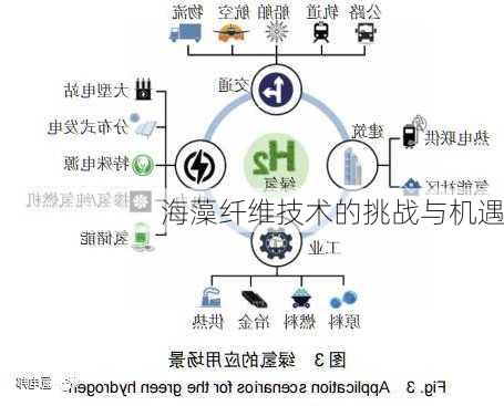 海藻纤维技术的挑战与机遇