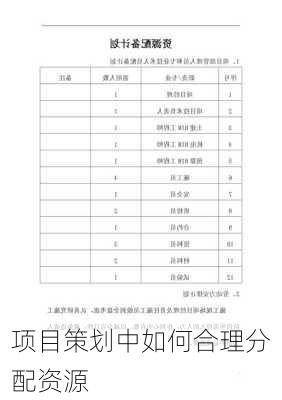 项目策划中如何合理分配资源