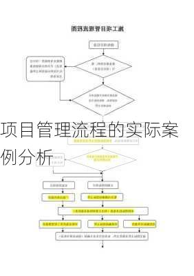 项目管理流程的实际案例分析