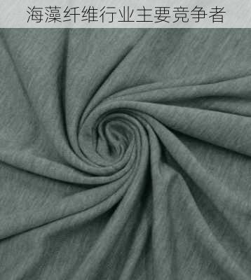 海藻纤维行业主要竞争者