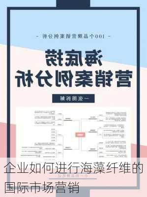 企业如何进行海藻纤维的国际市场营销