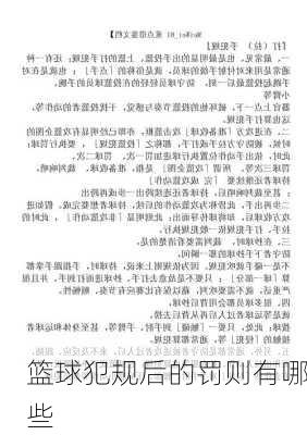篮球犯规后的罚则有哪些