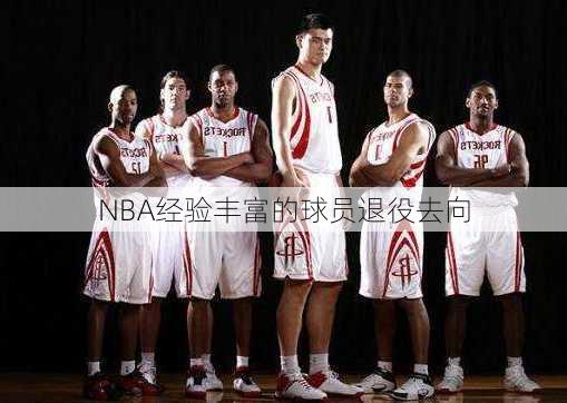 NBA经验丰富的球员退役去向