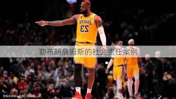 勒布朗詹姆斯的社会责任案例