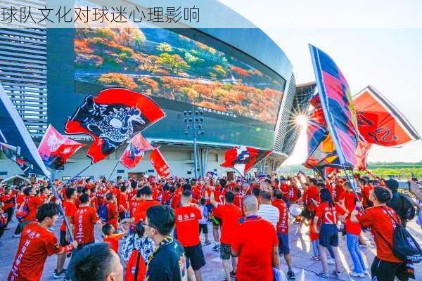 球队文化对球迷心理影响