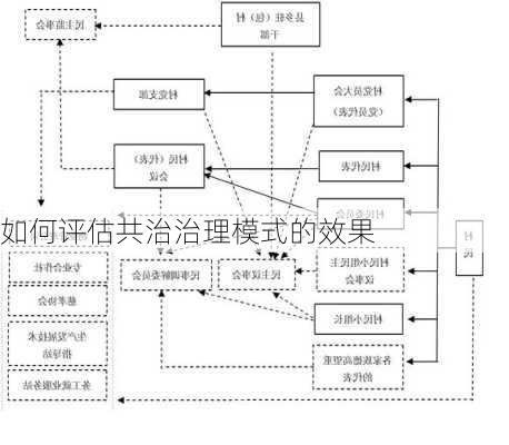 如何评估共治治理模式的效果