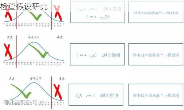 检查假设研究