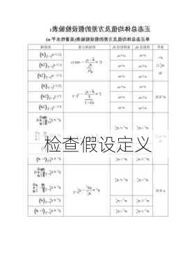 检查假设定义