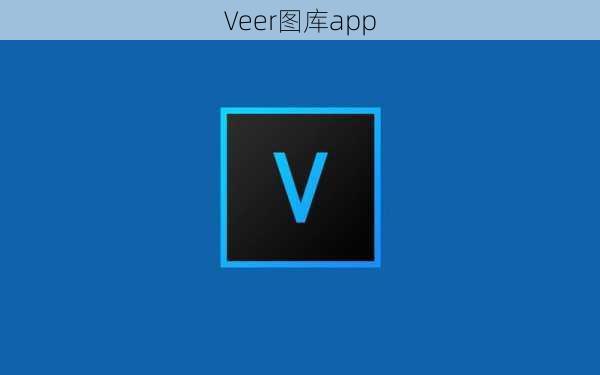 Veer图库app
