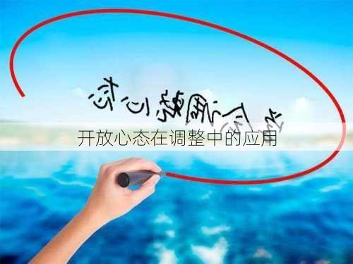 开放心态在调整中的应用