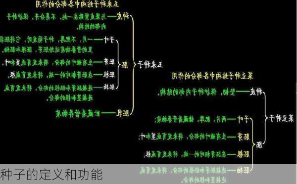 种子的定义和功能