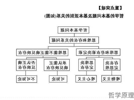 哲学原理
