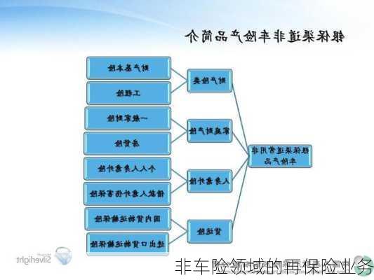 非车险领域的再保险业务