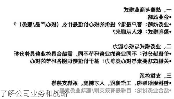 了解公司业务和战略