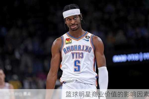 篮球明星商业价值的影响因素