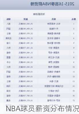 NBA球员薪资分布情况