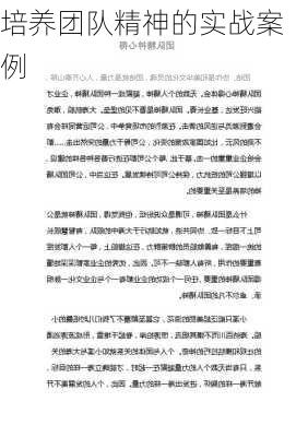 培养团队精神的实战案例