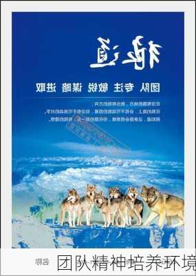 团队精神培养环境