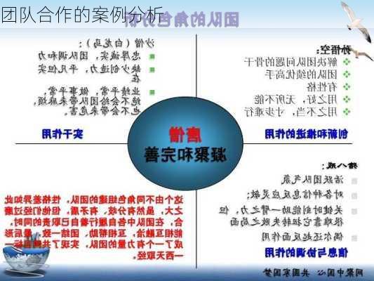 团队合作的案例分析