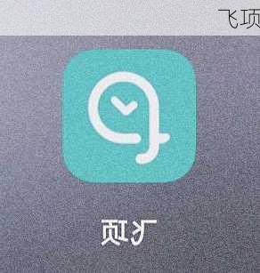 飞项